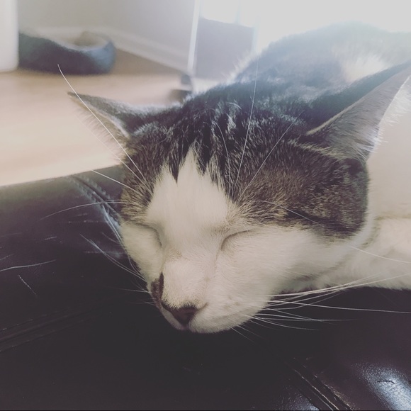 Welcome ππ₯°ππ½ππ» - Picture 3 of 5